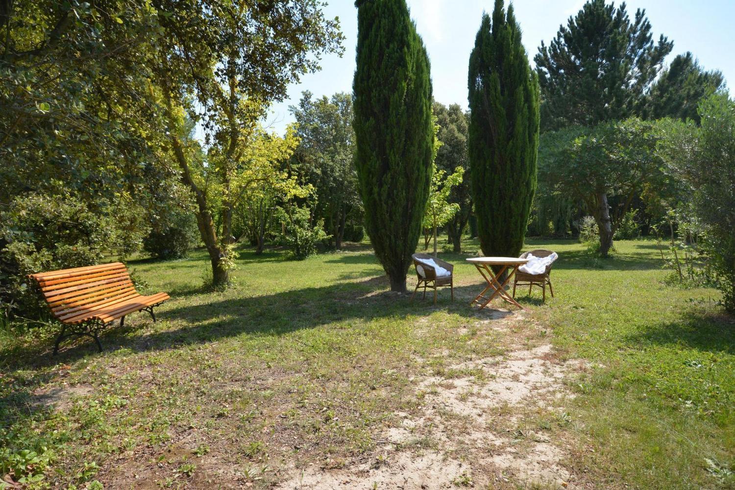 Mas des Princes, Noves - photo 17