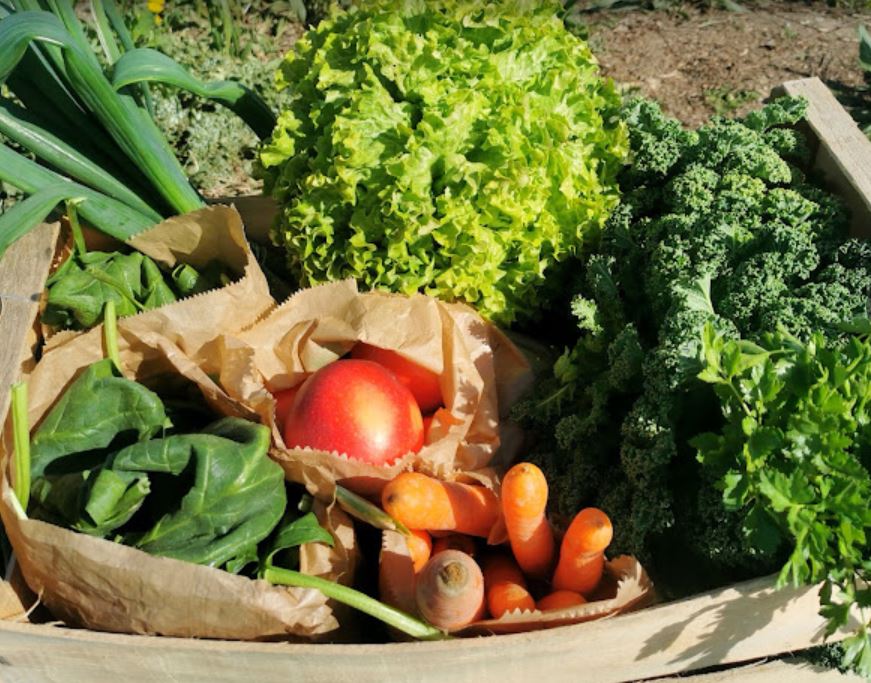 La ferme de l'Etoile