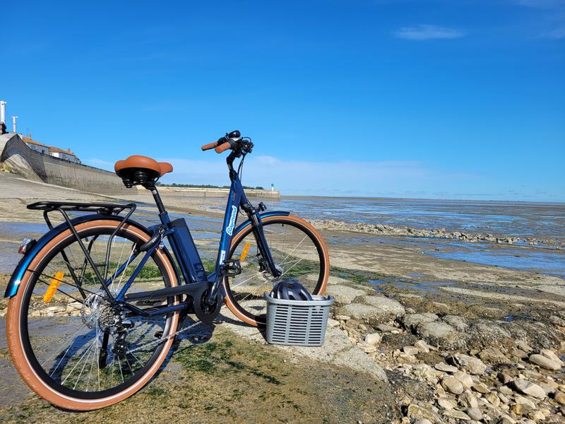 Un vélo bleu à marée basse.