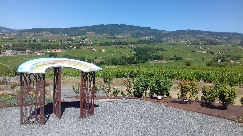 Balade Côte du Py Villié Morgon tables orientation