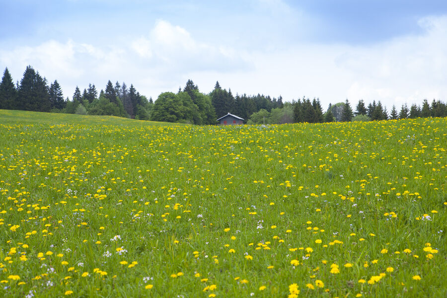 Paysage de printemps sur le Plateau de Retord