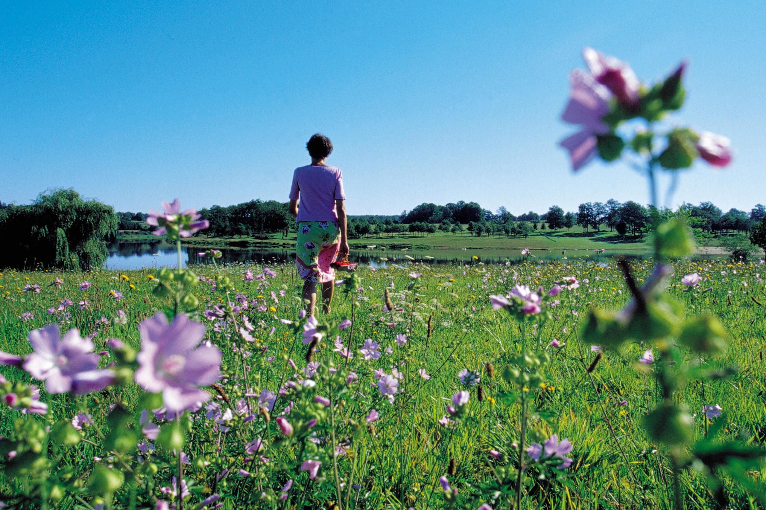 Circuit route Massignac : Boucle Locale 45 B