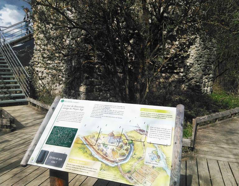 Réserve Naturelle du Bout du lac d'Annecy