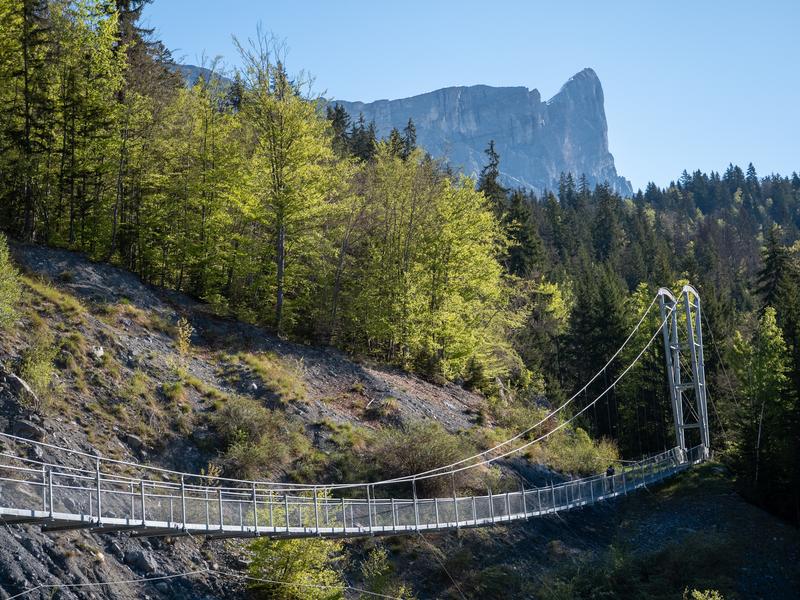 Plaine-Joux au Lac Vert par la passerelle_Passy