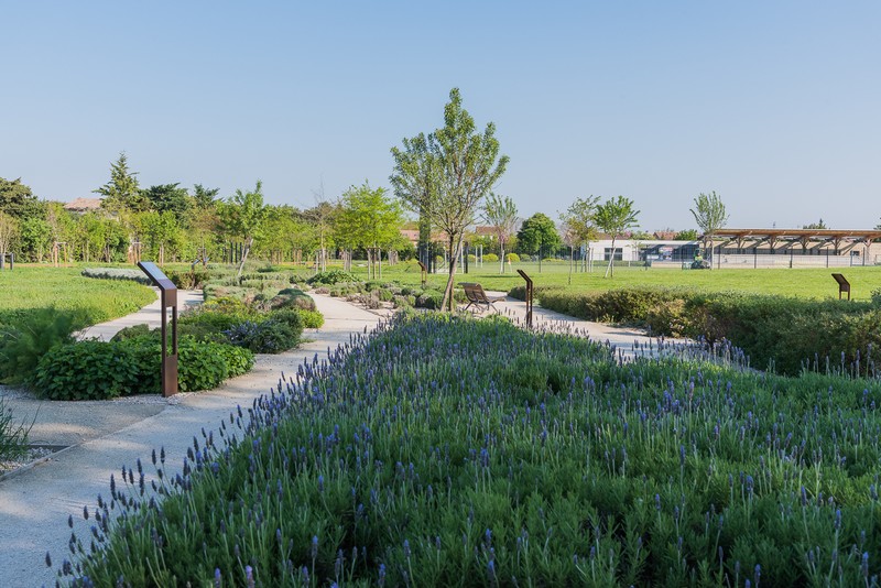 Parc des Sports et des Loisirs, Rognonas - photo 6