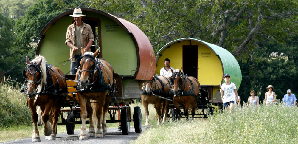 Une semaine de bohème en roulotte tirée par des chevaux