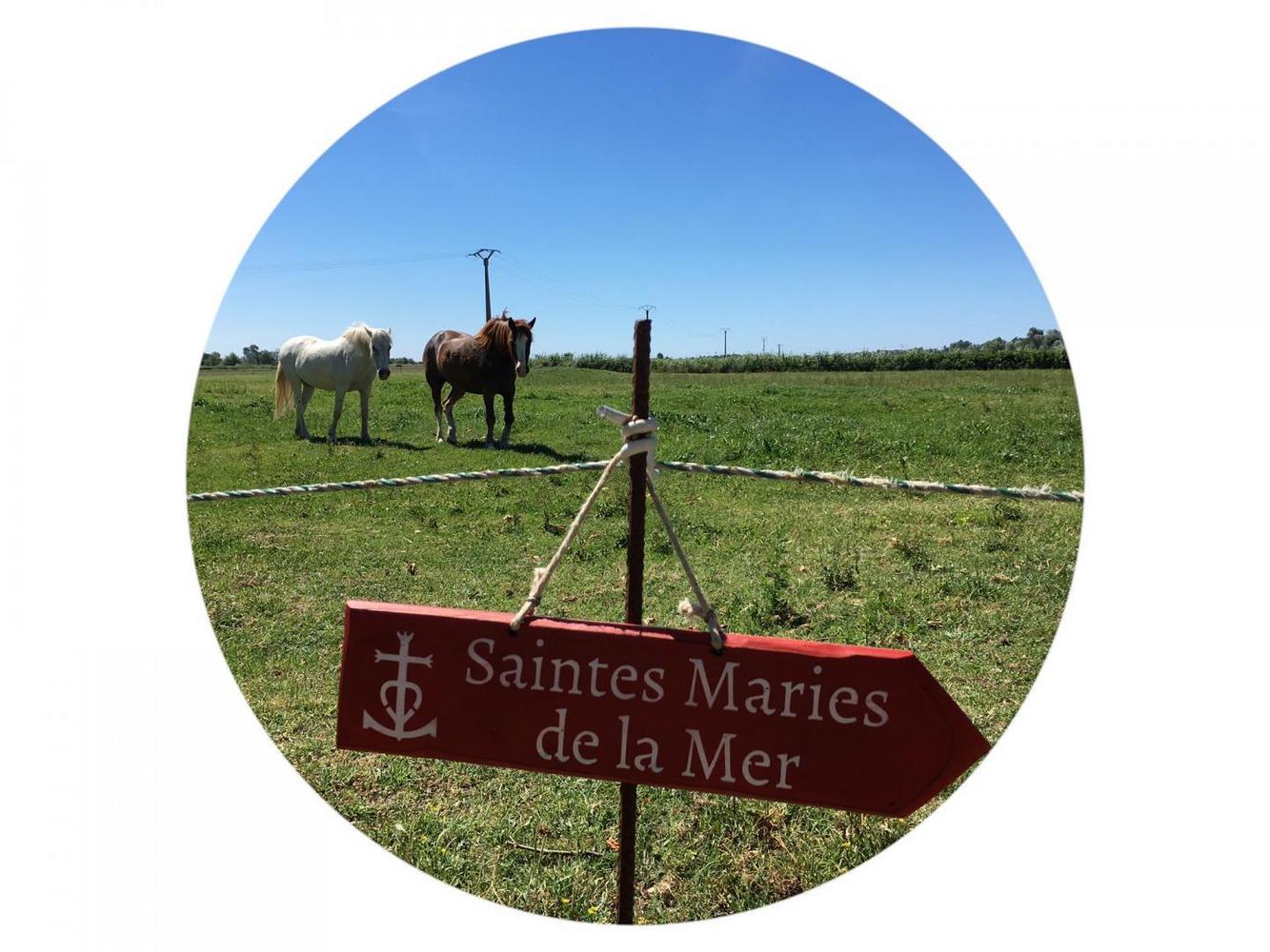 L'Etoile, Saintes-Maries-de-la-Mer - photo 13