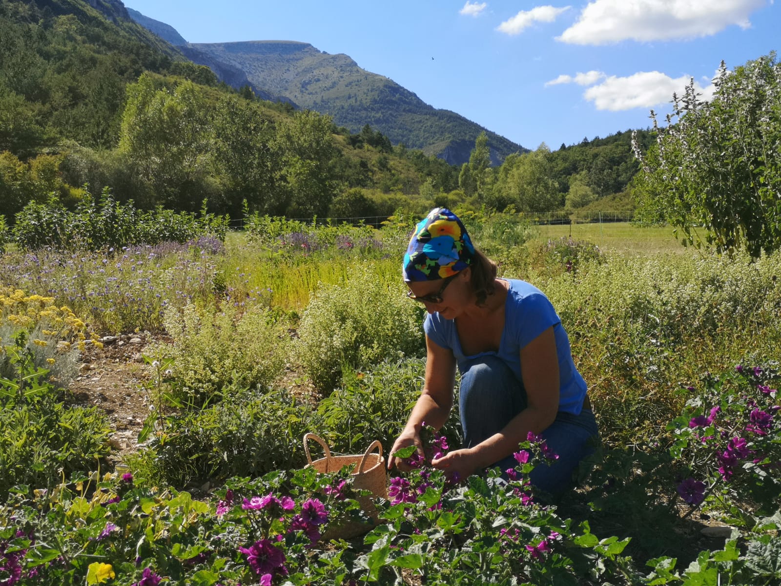 Hysope et Capucine - Jardin aromatique