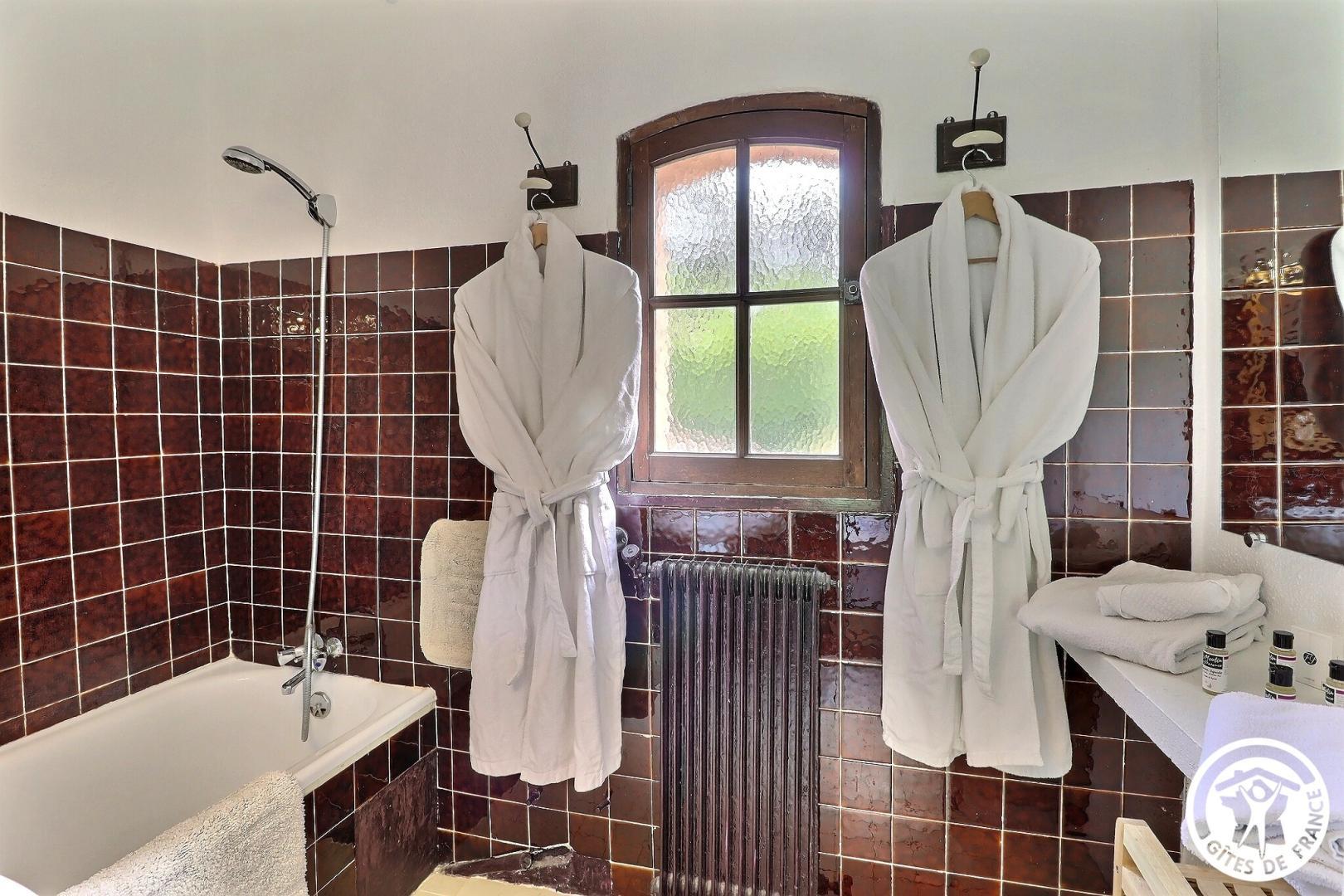 La Feuillère, Saint-Antonin-sur-Bayon - photo 41