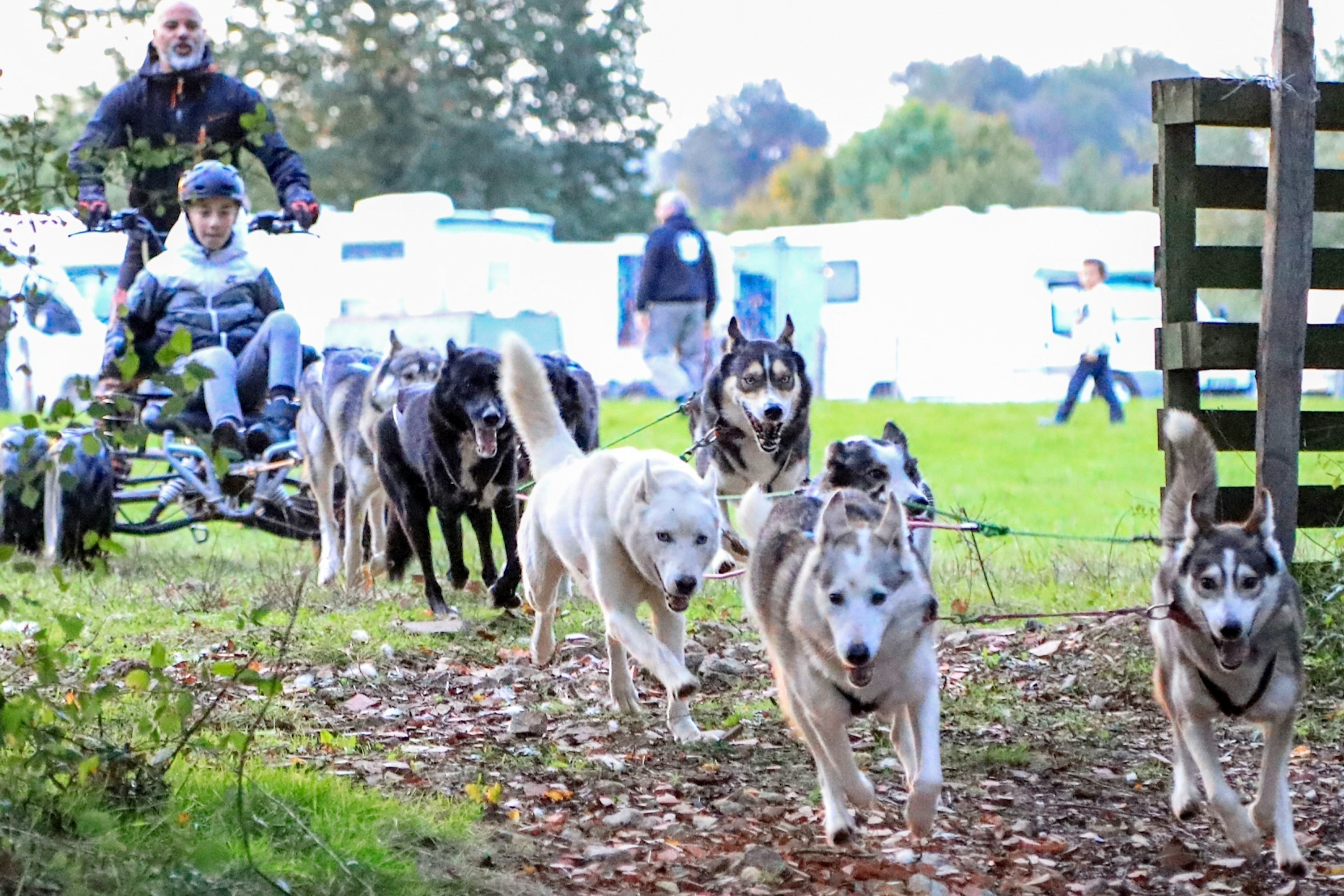 Cani-kart avec Nordik Wild Kennel