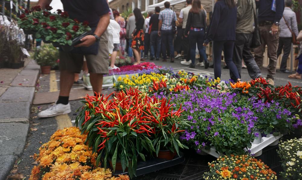 http://Fête%20du%20printemps