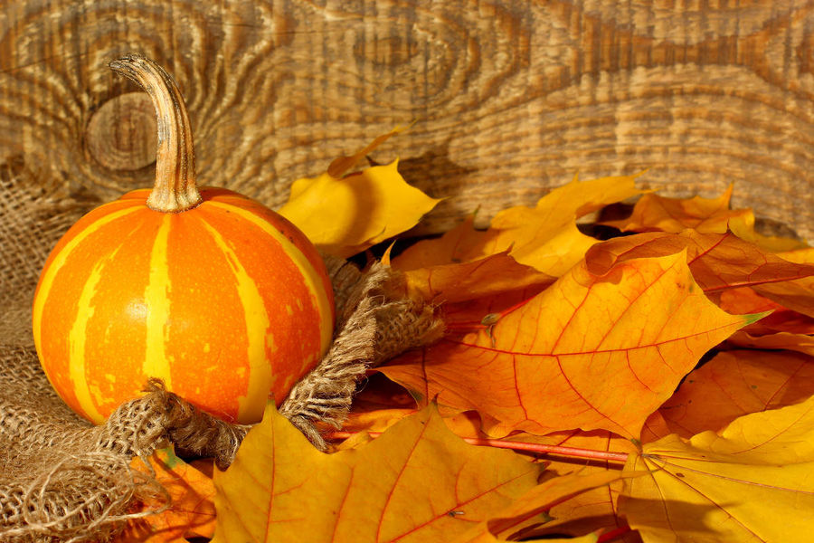 Foire d'automne
