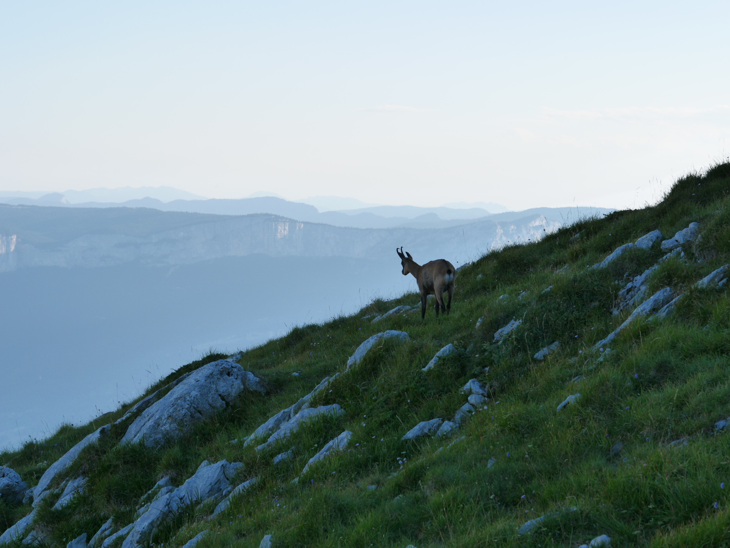 photosFeed-https://static.apidae-tourisme.com/filestore/objets-touristiques/images/184/34/42279608.jpg