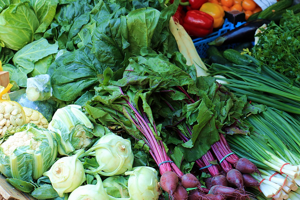 Portes ouvertes ferme des Champs gourmands