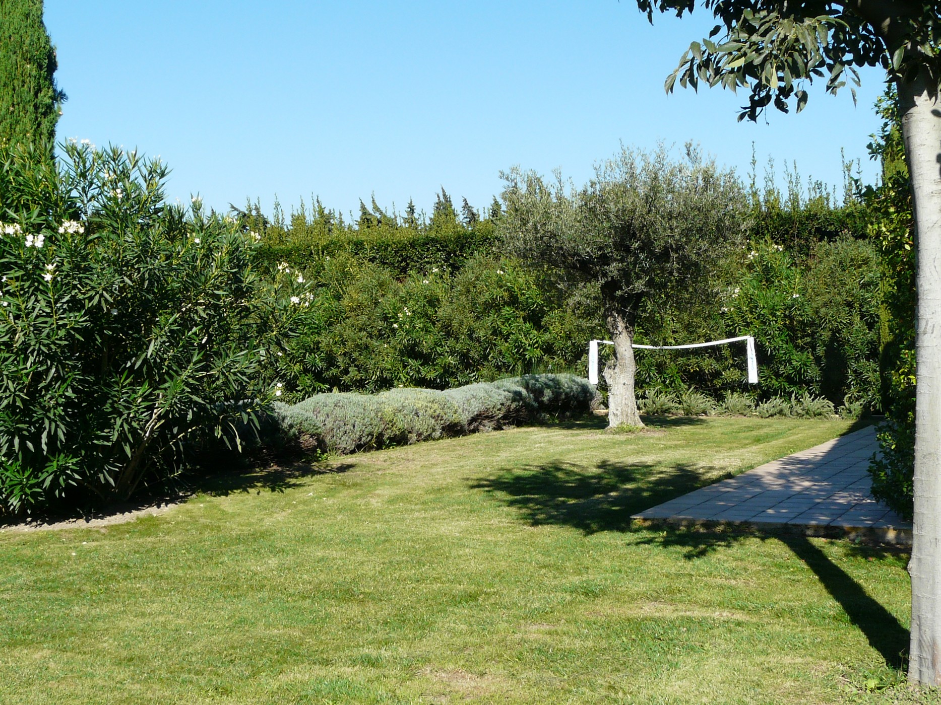 Baguie Roso - photo 2