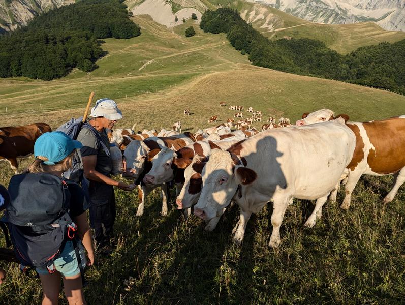 Bivouac astro dans les alpages - Séjour Sans Voiture_Tréminis