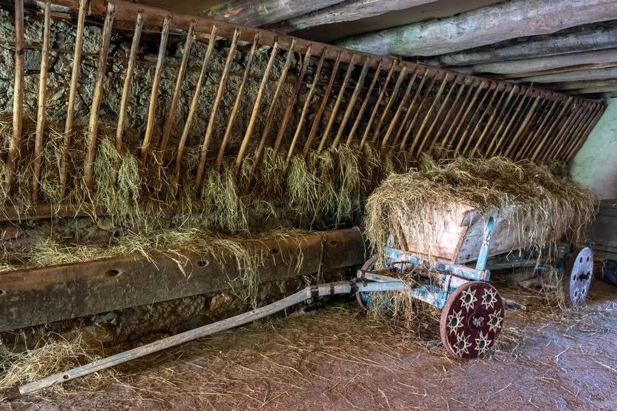 Visite en anglais de la Ferme Ecomusée du Clos Parchet