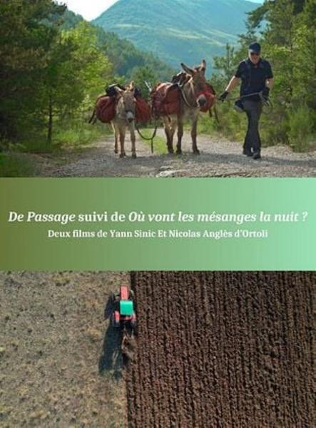 LE MOIS DU DOC - Projection 