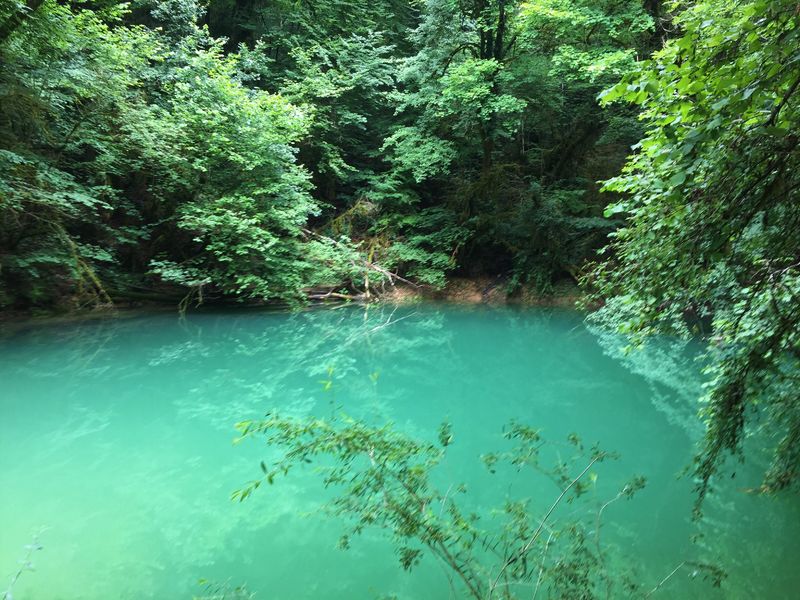 Circuit de randonnée pédestre : La vie du Loup