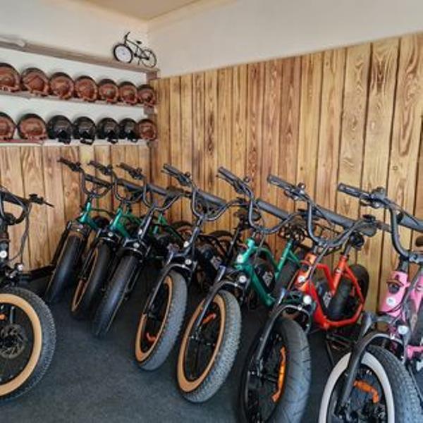 Location de vélos électrique vintage avec les bikes à papa - Journée