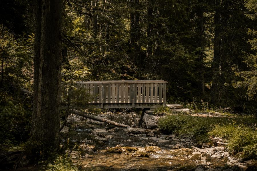 Sentier pédestre : des Lindarets à la Cascade des Brochaux_Montriond
