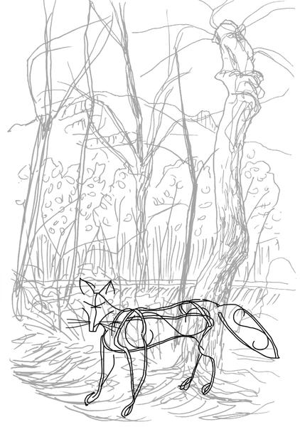 Sentier des étoiles  Aillon le Jeune_Aillon-le-Jeune