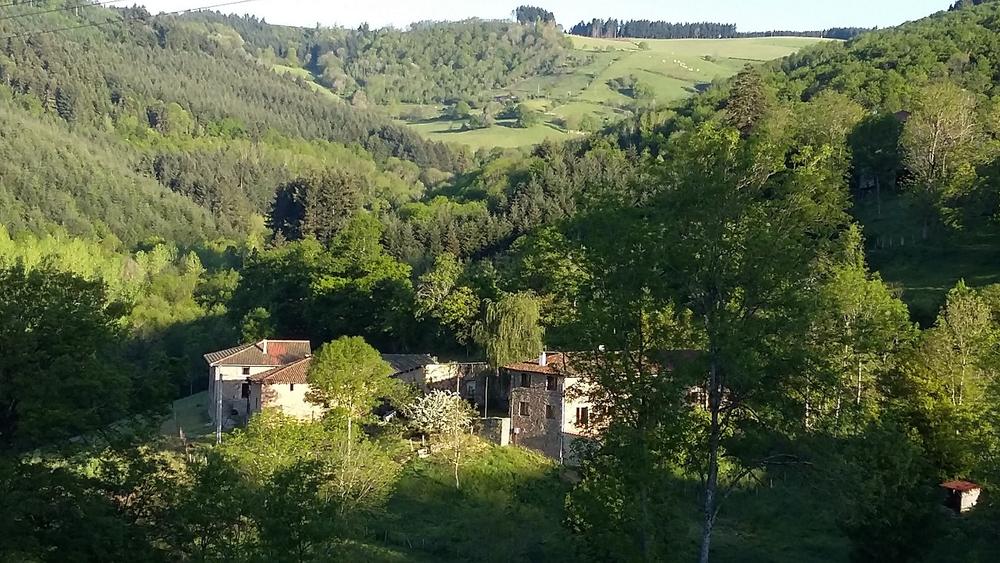 Gîte du Grand Peisselay à VALSONNE (Rhône - Beaujolais Vert) : la maison dans son environnement.