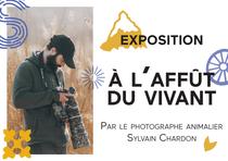Exposition : À l'affût du vivant