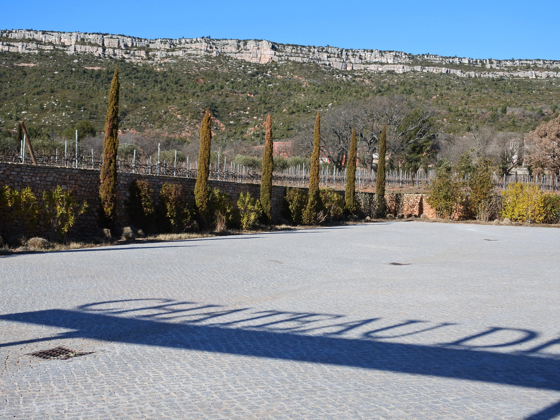 Le vignoble de Ste Victoire, sous l'oeil de Cézanne
