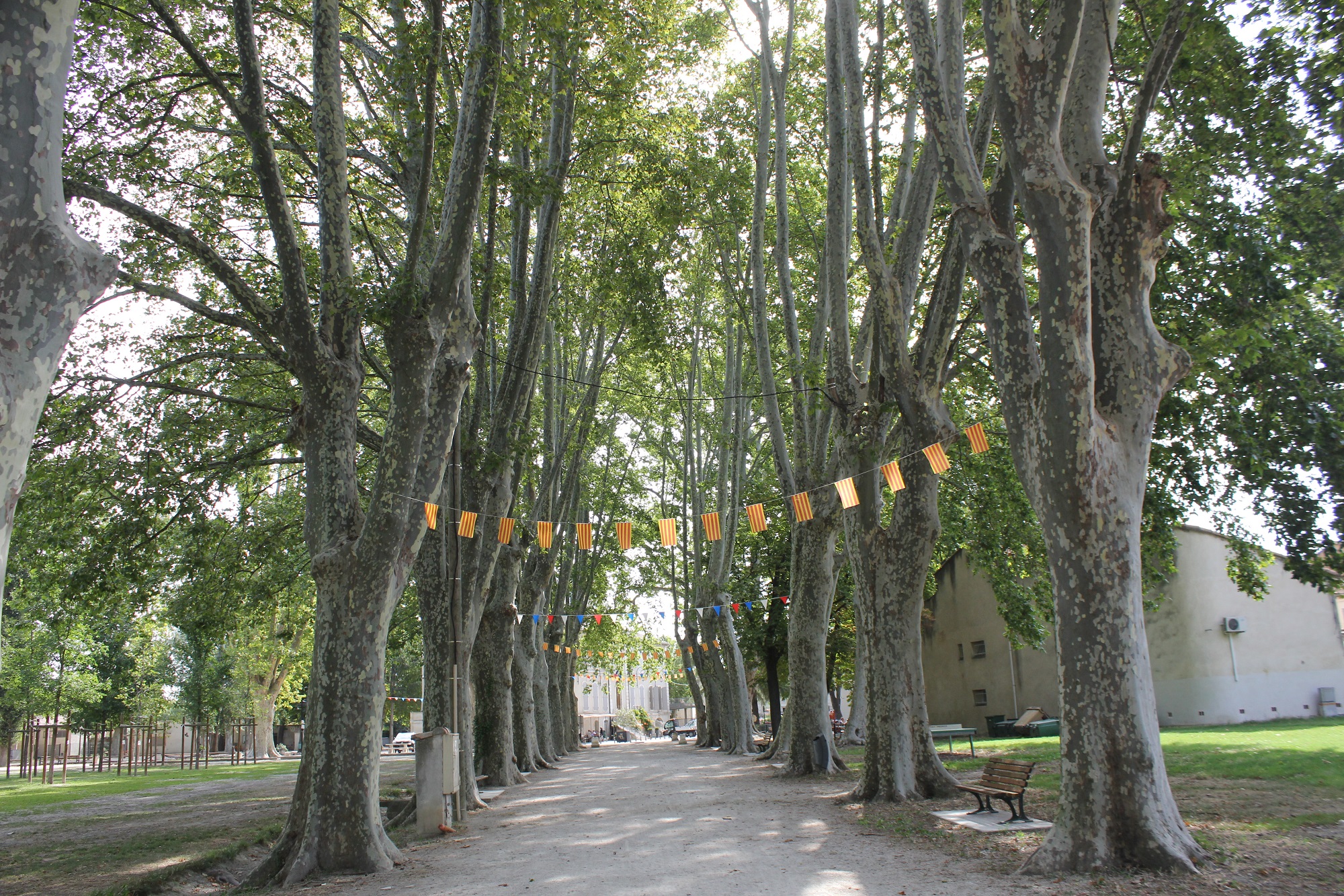 Parc du château, Saint-Andiol - photo 5