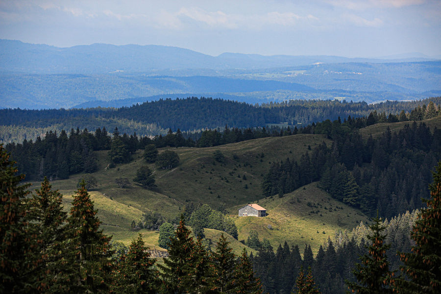 Crêt de Chalam - Borne au Lion