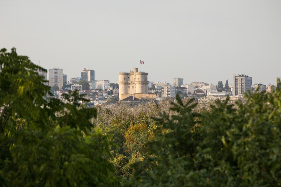 Vue depuis la Butte aux canons 