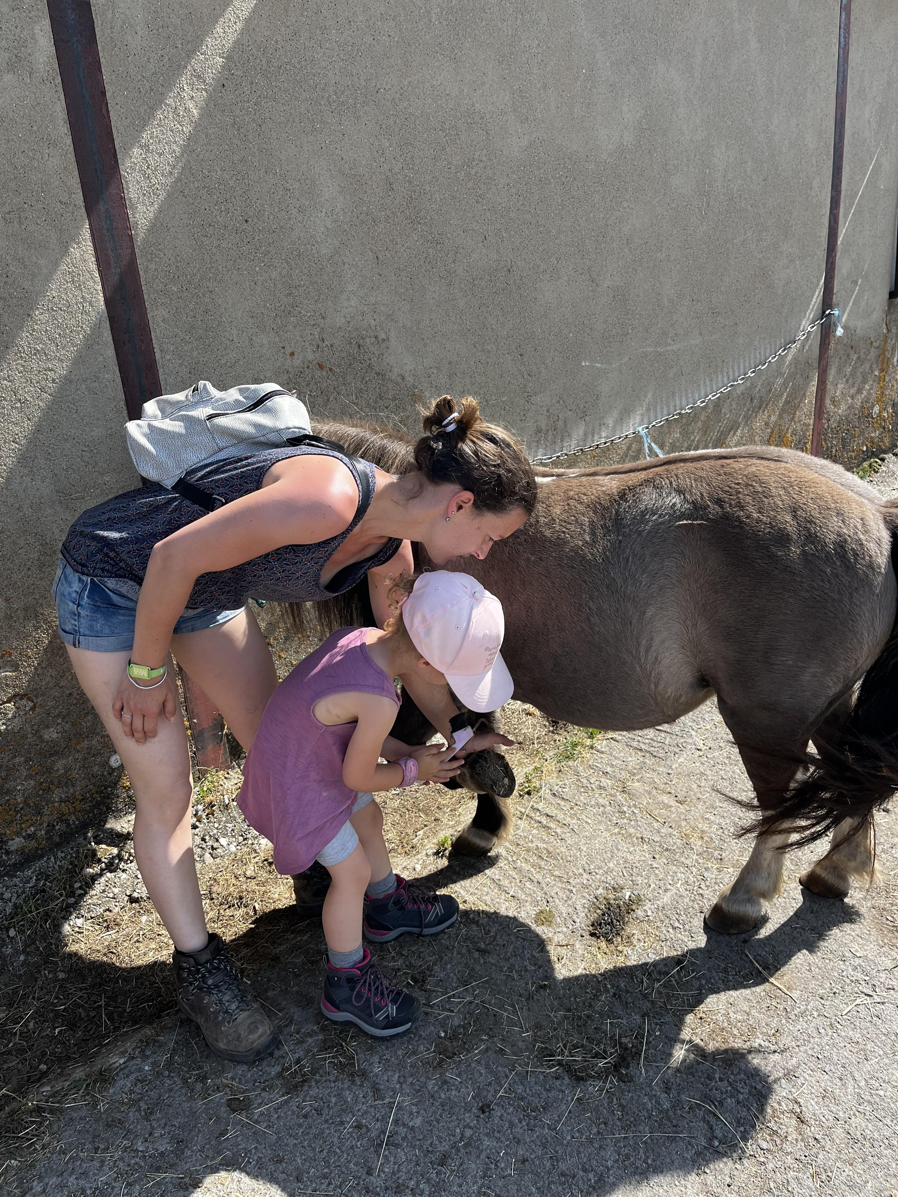 Petit soigneur de poneys