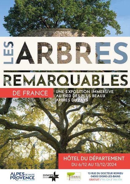 Les arbres remarquables de France Du 6 au 13 déc 2024