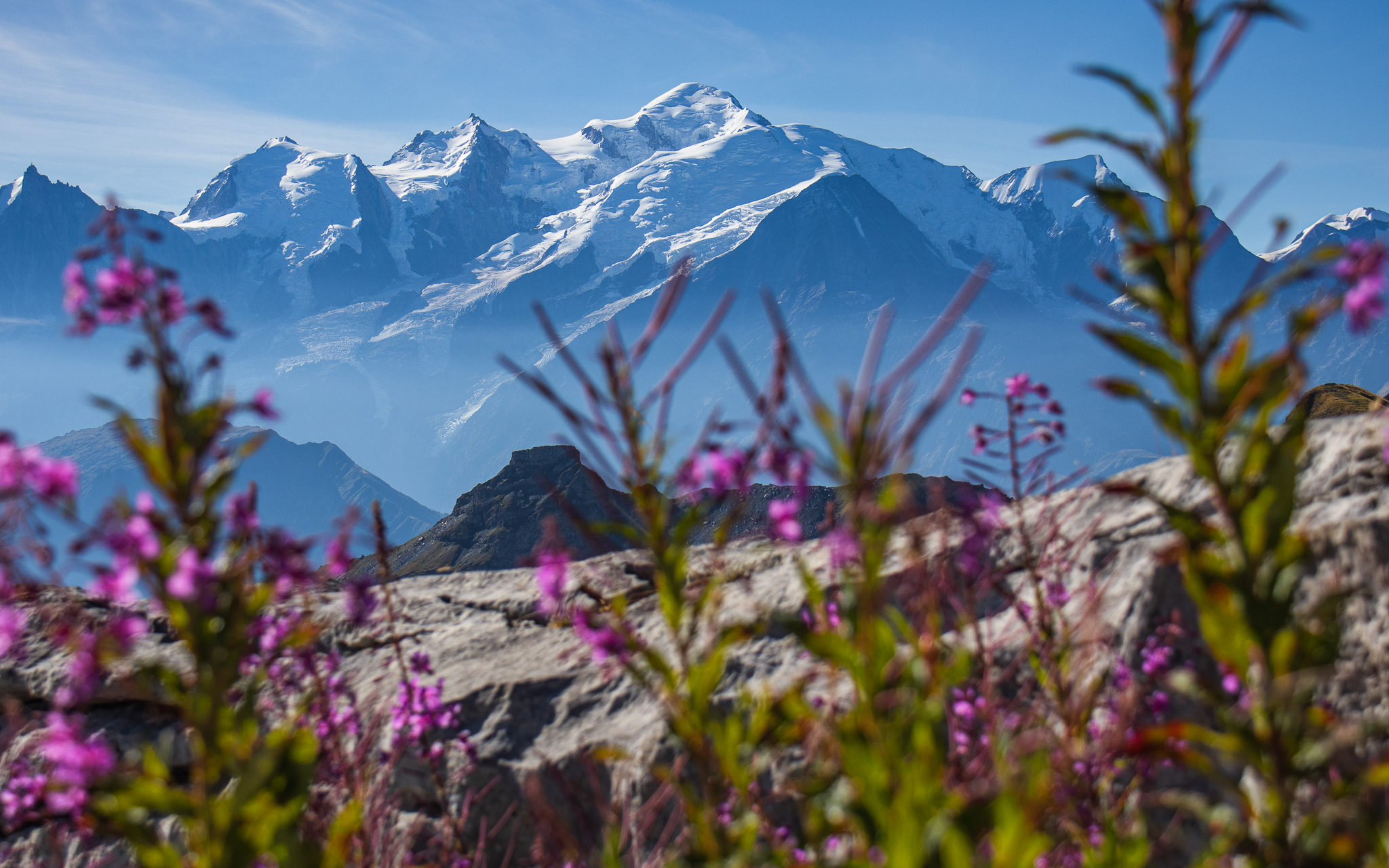 View of Mont Blanc from the Désert de Platé