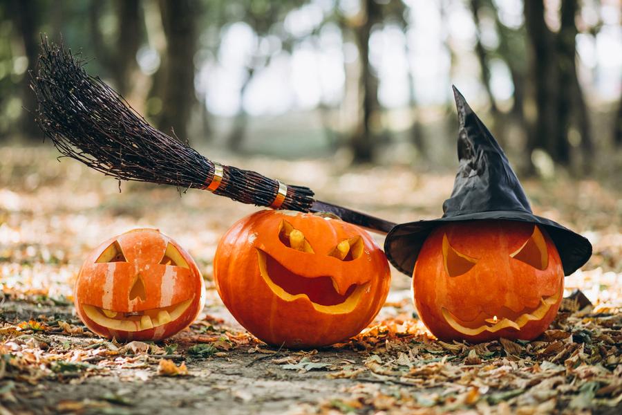 Halloween à la Maison de la Nature
