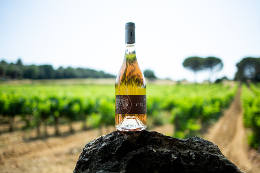 Domaine Les Perpetus