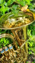 Bulles musicales_Beauvoir-en-Royans