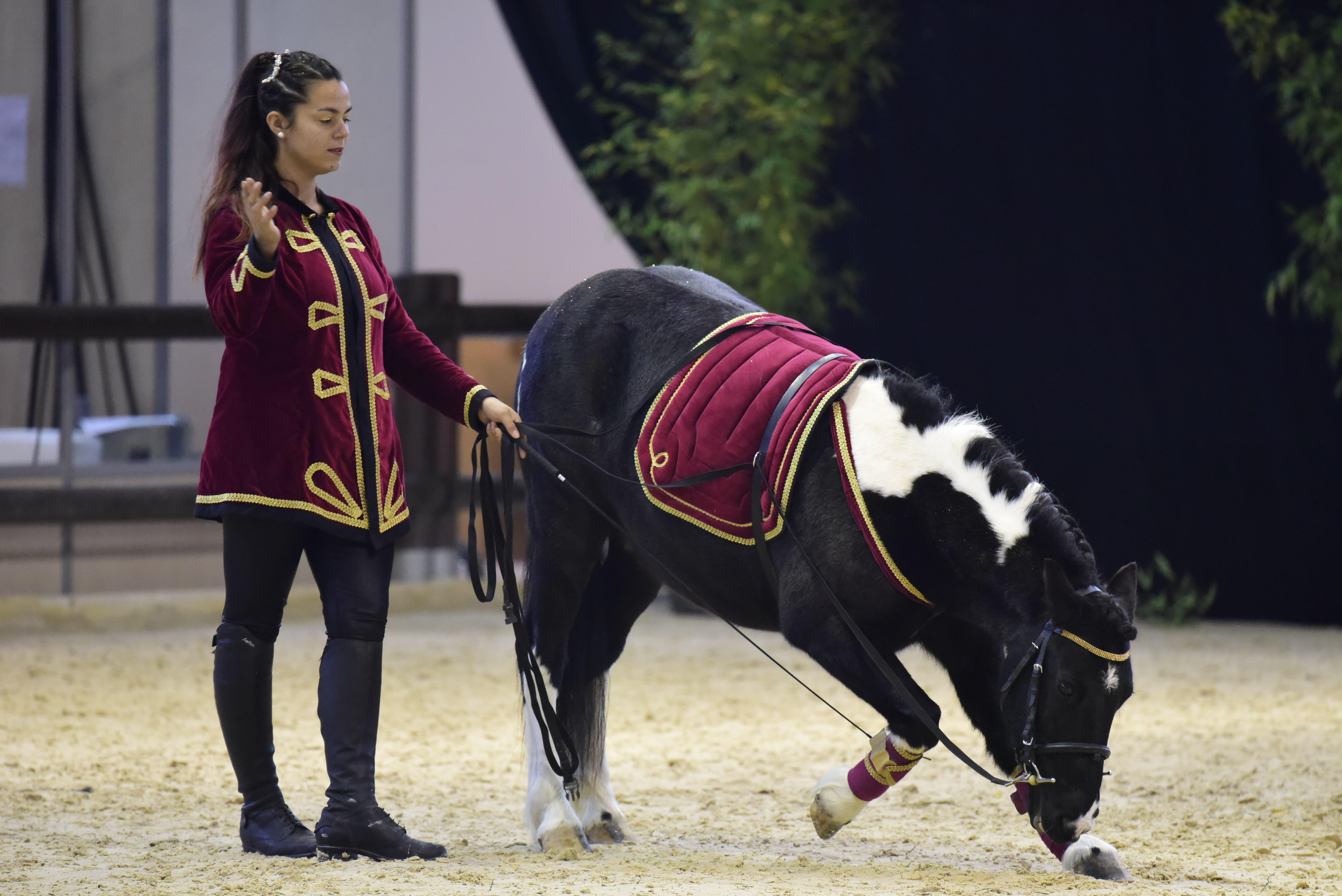 Equita Lyon