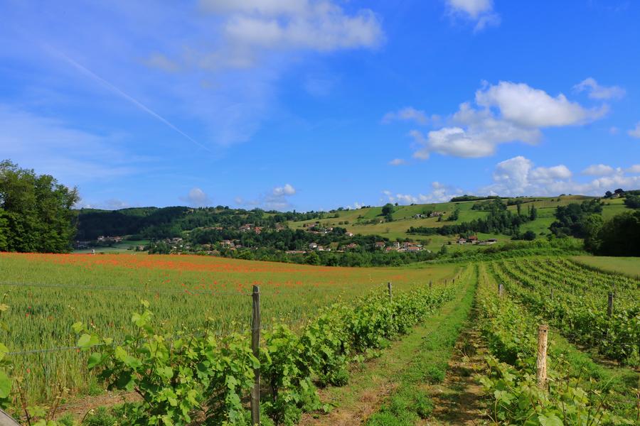 Vignieu - Balcons du Dauphié