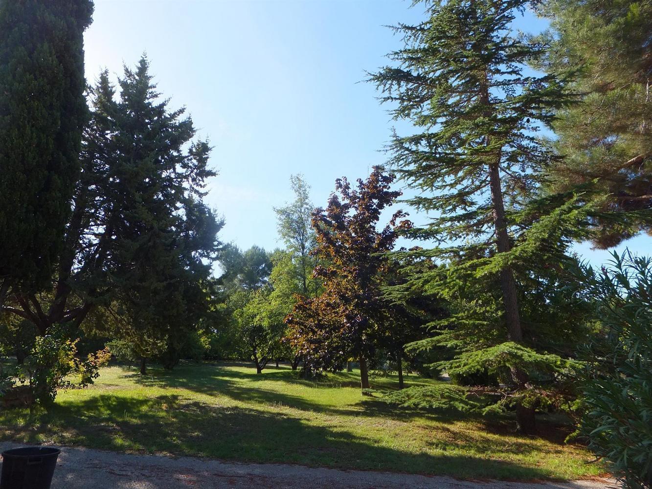 Le Clos Des Oliviers et la Tour, Saint-Cannat - photo 14