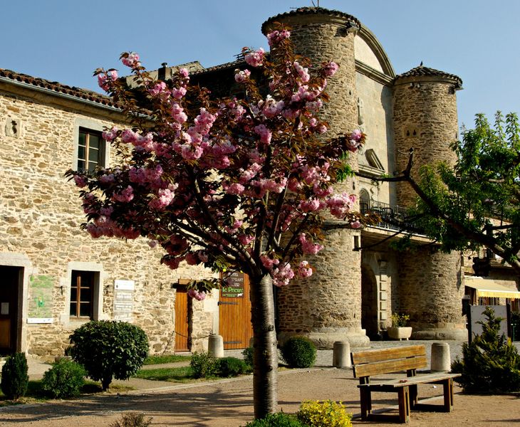 Chartreuse Sainte-Croix-en-Jarez