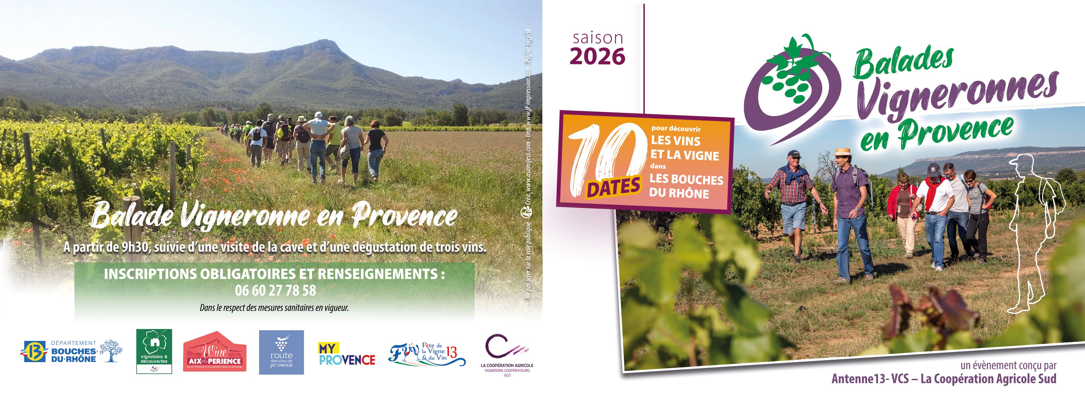 Balades Vigneronnes en Provence
