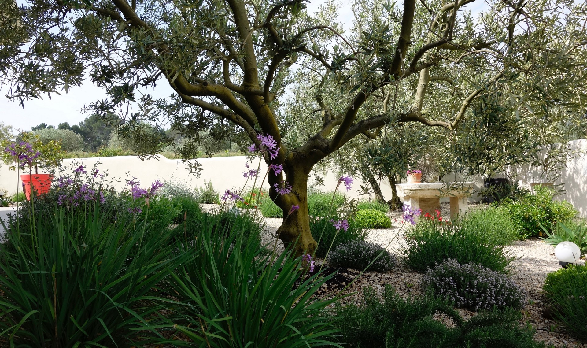 Les Lavandins - Gîte FREDERIC