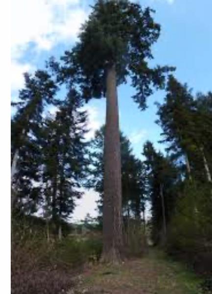 Chambres d\'hôtes \