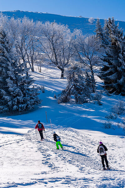 Sortie raquette Les Signaraux