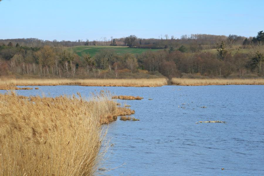 Étang de Salette_Courtenay