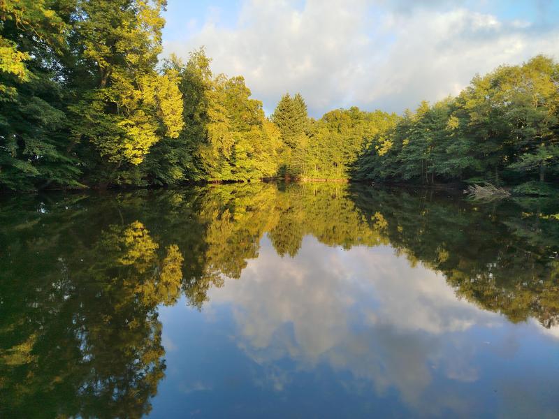 Parc de Maubourg_Saint-Maurice-de-Lignon