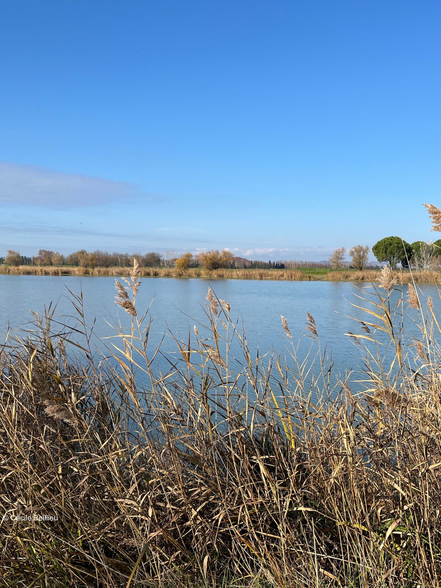 Lac du Barreau - photo 4