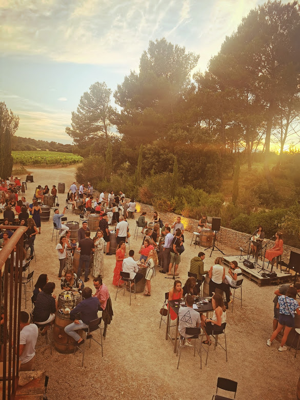 Villa Minna Vineyard